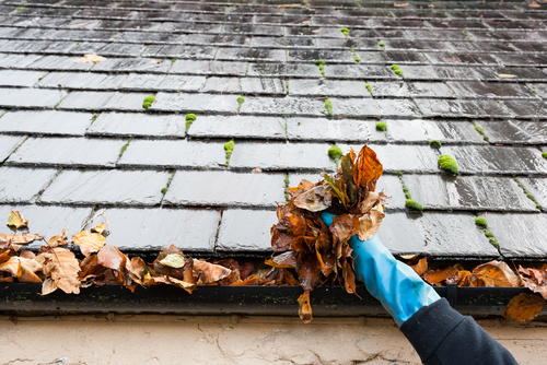 how to clean the gutters yourself