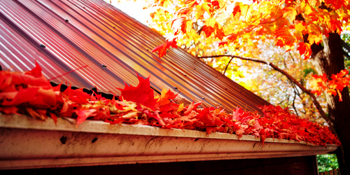 Gutter Maintenance for Winter