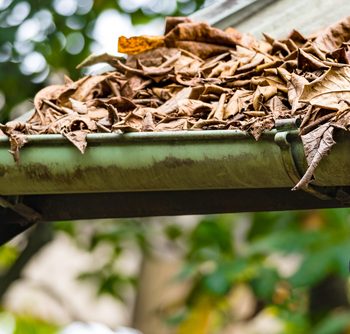 Common Gutter Issues That Is Worth Knowing