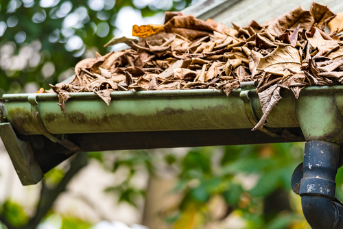 Common Gutter Issues That Is Worth Knowing