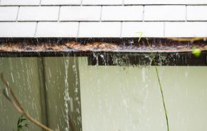 Gutters Overflow