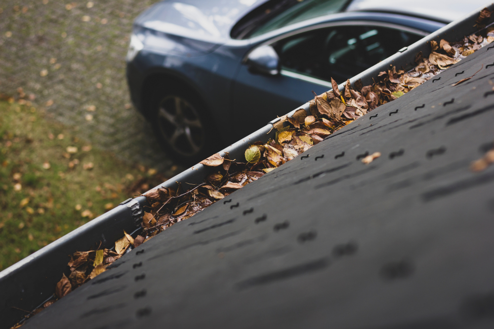 Leaves in Gutter From Above