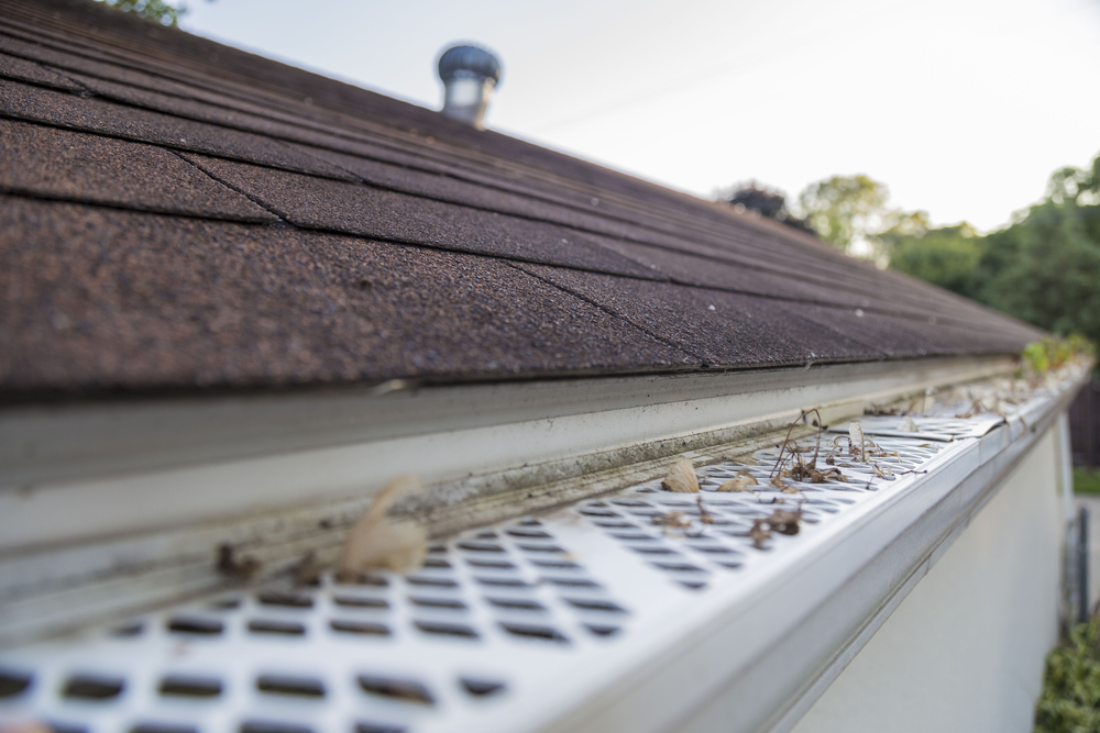 Close Up Gutter Guard with Leaves stuck