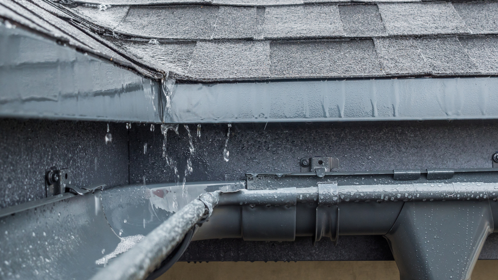 Roof and Gutters Water Leak