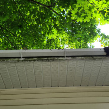 Gutters from underneath with tree on top of the gutters