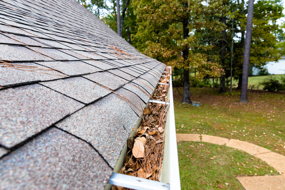 Leaves on Gutters