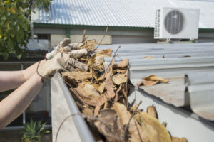 Person in Gloves Cleaning Dried Leaves from the Gutters