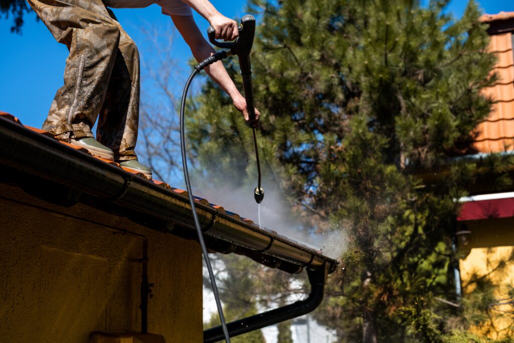 Professional Cleaning on Roof