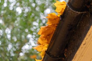 Fall Leaves on Gutters
